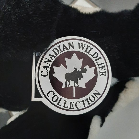 Whale - Picture 8 of 10